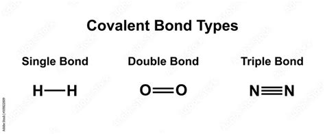 Single Double And Triple Bonds