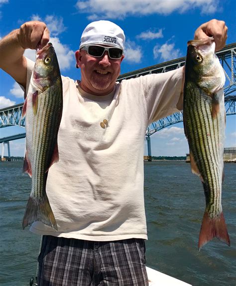 Jigging the Chesapeake Bay Bridge Pilings | FishTalk Magazine