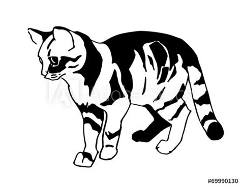 Tabby Cat Drawing | Free download on ClipArtMag