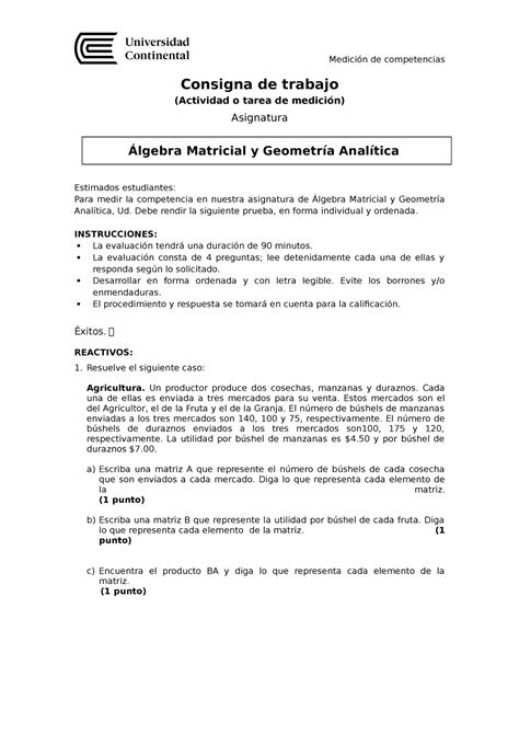 Consigna de Trabajo 2023 10 Medición de competencias Consigna de