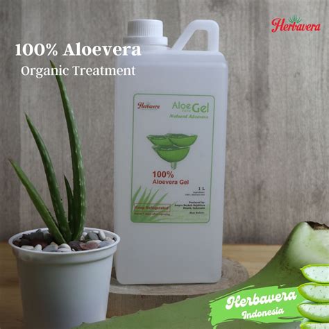 Jual Aloe Vera Gel Lidah Buaya Organik Murni Alami Cair Herbavera