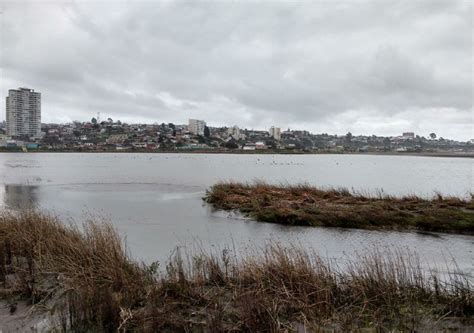 Fuentes De Agua Y Vida ¿de Qué Se Trata La Ley De Humedales Urbanos