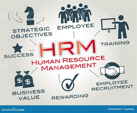 Human Resource Management Hrm Stock Illustration Illustration Of