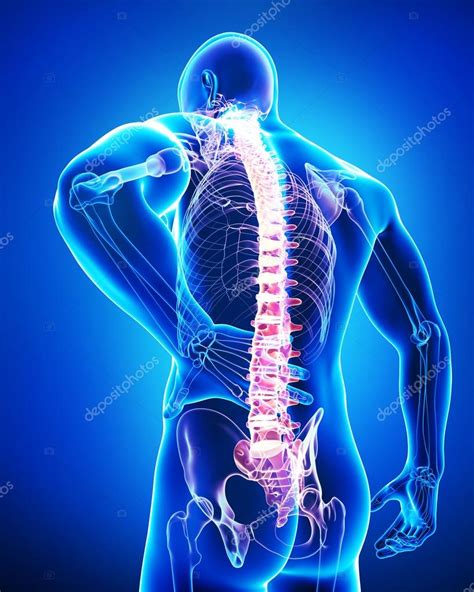 Back pain anatomy — Stock Photo © pixologic #22674645