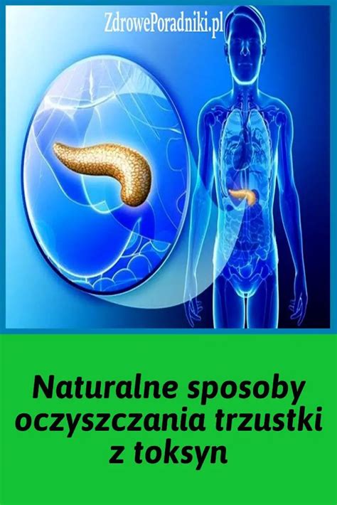 Naturalne Sposoby Oczyszczania Trzustki Z Toksyn