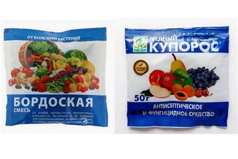 Что лучше выбрать, медный купорос или бордосскую жидкость