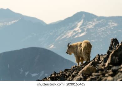 51,845 Grays Peak Images, Stock Photos & Vectors | Shutterstock