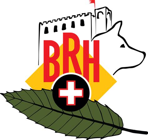 Herzlich willkommen bei der - BRH-Rettungshundestaffel-Mittelpfalz