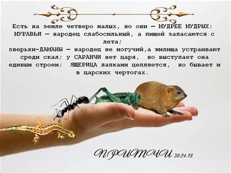 Pin by Татьяна Казанкова on Книга Притчи. Библия