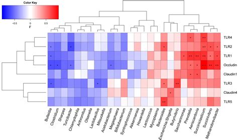 Frontiers Effect Of Early Weaning On The Intestinal Microbiota And