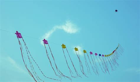 Jodhpur-International-Desert-Kite-Festival_JOdhpur