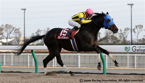 TOKAI TV HAI TOKAI STAKES (G2) - JRA Graded Races 2014 - Horse Racing in Japan