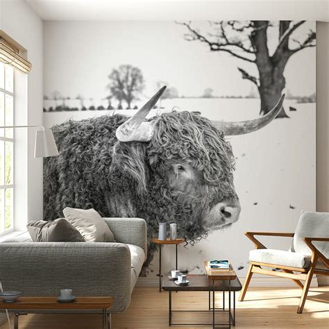 Highland Cow Wallpaper | happywall.com