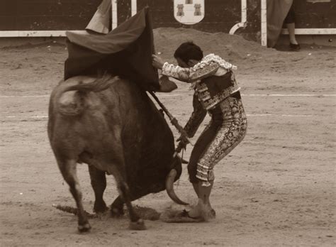 Historia Muy Preliminar De La Tauromaquia