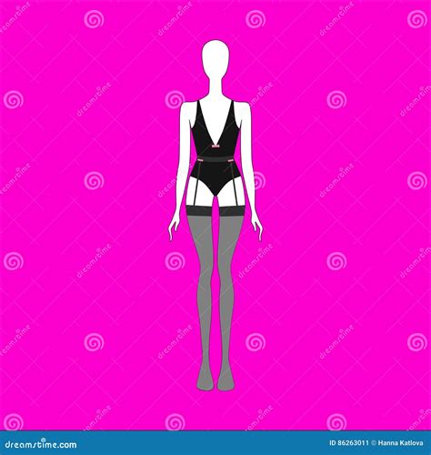 Panties Bra Stockings Lingerie Lingerie Set Drawn Stock Illustration Illustration Of