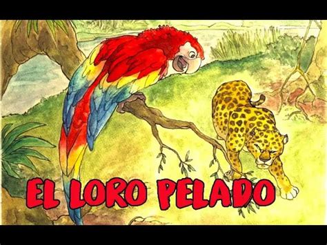 Cuento Del Loro Pelado Una Historia De Amistad Y Superación Loros Y