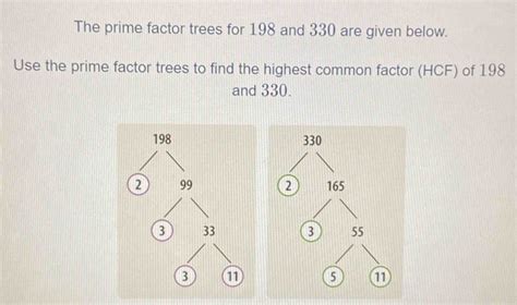 Solved The Prime Factor Trees For 198 And 330 Are Given Below Use The