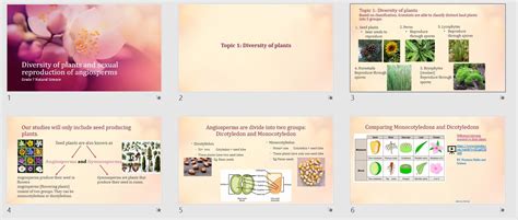 Ns Gr 7 Interactive Powerpoint Diversity Of Plants And Sexual