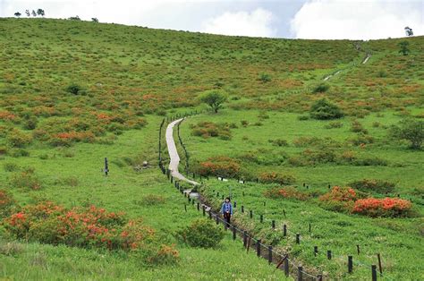 画像写真霧ヶ峰車山山頂では日本アルプス八ヶ岳をひとり占め 天然記念物八島湿原 夏を彩るニッコウキスゲは見もの首都圏発週末に