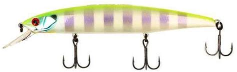 Kunstk Der In Rauen Mengen Bassday Mogul Minnow Sp P Chartback