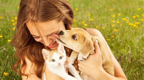 ¿debemos Dejar Que Nuestro Perro O Gato Nos Bese En La Cara Teletica