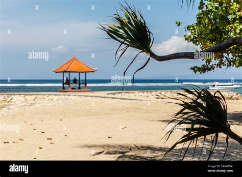 gazebo   beach  sanur branches   trees shadows