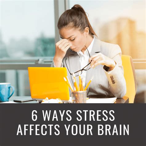 6 Ways Stress Affects Your Brain Premier Neurology And Wellness Center