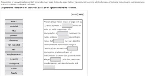 Solved He Evolution Of Eukaryotic Cells Most Likely Occurred Chegg