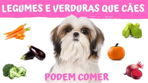 QUAIS SÃO OS LEGUMES E VERDURAS QUE OS CÃES PODEM COMER YouTube