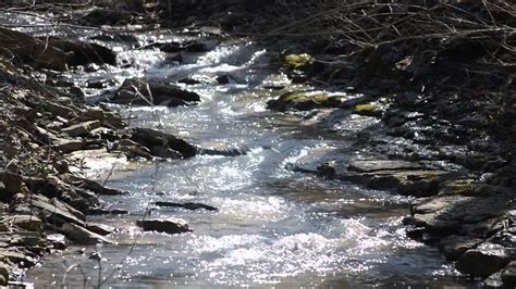 Creek Water Trickling Over Rocks Youtube