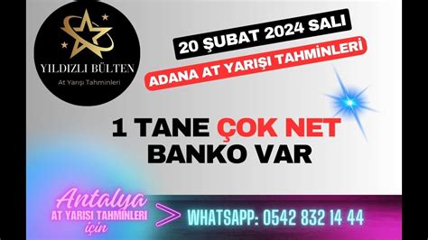 20 Şubat 2024 Salı Adana At Yarışı Tahminleri YouTube