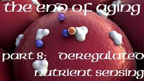 The End Of Aging Part Deregulated Nutrient Sensing Youtube