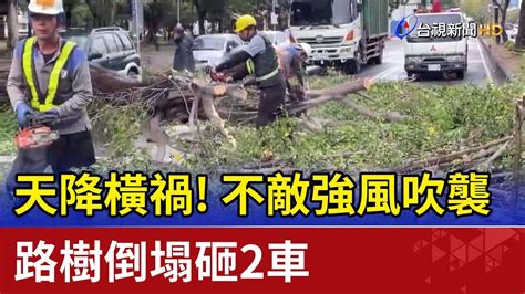 天降橫禍！不敵強風吹襲 路樹倒塌砸2車 Youtube