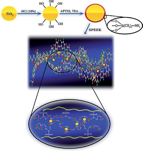 Schematic Of Amine Functionalization Reaction Of TiO 2 Nanoparticles