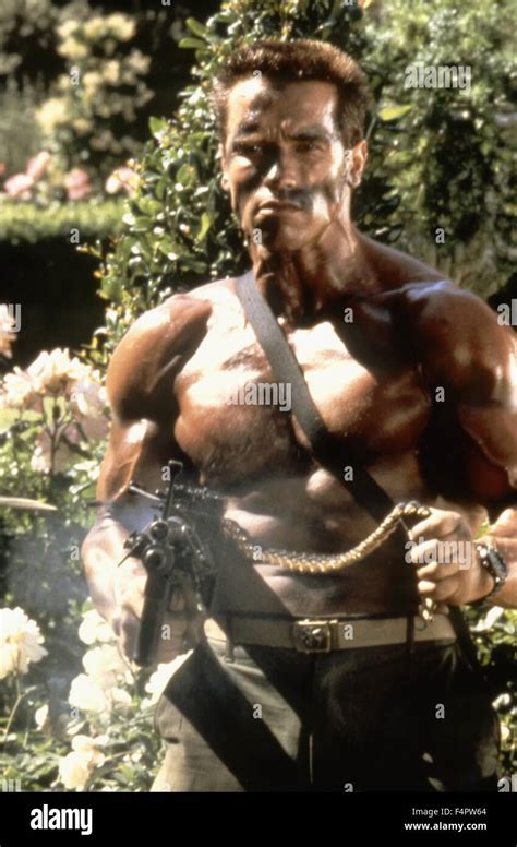 Commando arnold schwarzenegger - politicshery