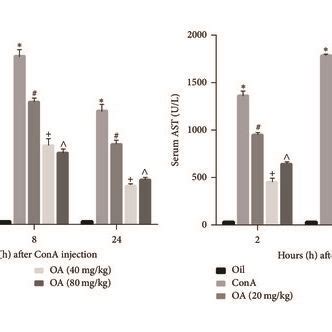 Oa Regulates Autophagy And Apoptosis In Cona Induced Liver Injury