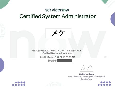 Servicenow Csa