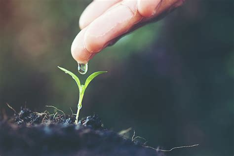 Lo Que Deben Hacer Los Agricultores Para Mejorar El Uso Sostenible Del Agua