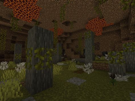 Perhaps there should be a very rare Nether biome that echos a warped version of the overworld ...