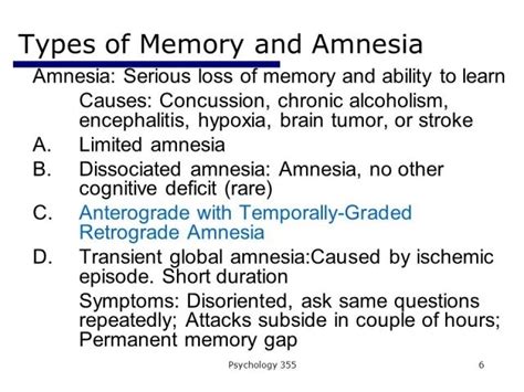 Types of Amnesia - LewisatTaylor