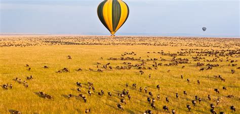 Balloon Safaris in Masai Mara - masai mara balloon ride