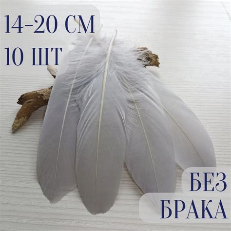Гусиные перья для творчества и рукоделия. Серые. 10 шт. 14-20 см ...
