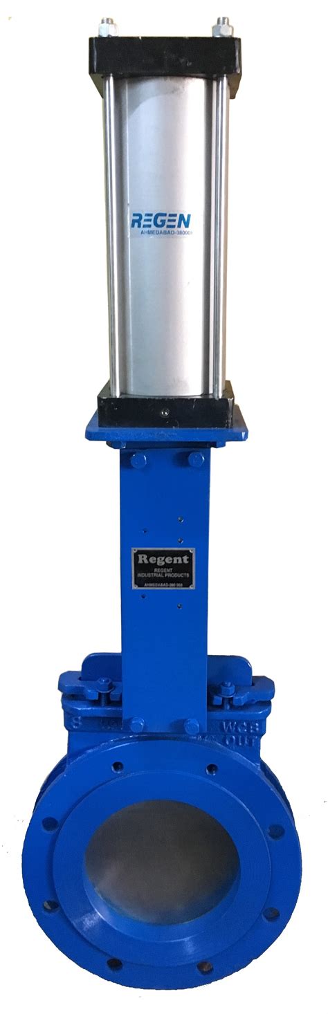 Regent Knife Edge Gate Valve Products At Price INR 5500 In Ahmedabad