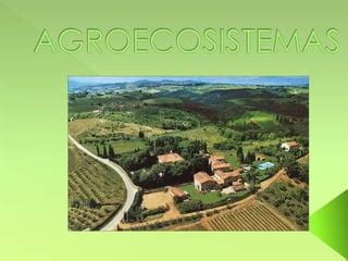 Agroecosistemas PPT Descarga Gratuita