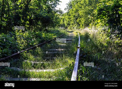 Overgrown Railway Track Hi Res Stock Photography And Images Alamy