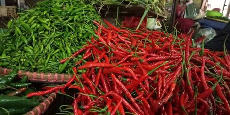 Harga Pangan Meroket Cabai Rawit Merah Tembus Rp100 000 Per Kg