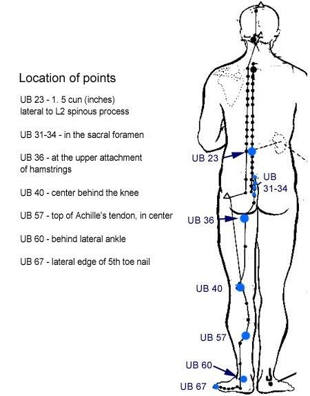 Acupuncture for Back Pain: Essential Benefits – Makari Wellness