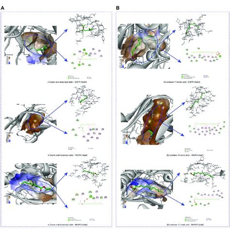 The Protein Ligand Of The Docking Simulation A 3d And 2d Maps Of