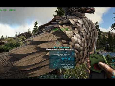 Радиолокатор и Радио-маячок в ARK Survival Evolved - YouTube