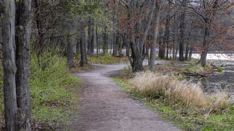 Scenic Woodland Walking Trail In Rural Michigan 17698947 Stock Photo At